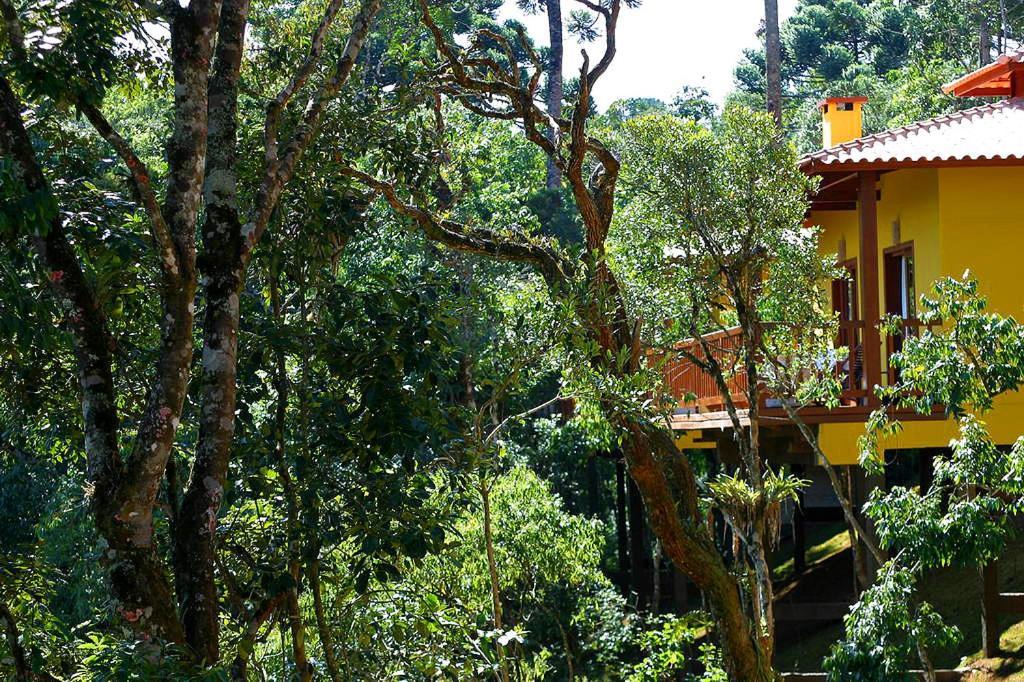 Hotel Surya-pan Refugio